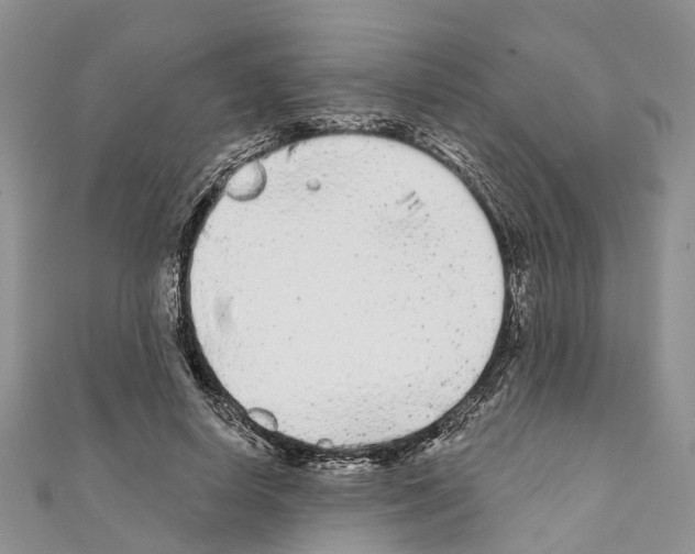 X0000110720642200907241208