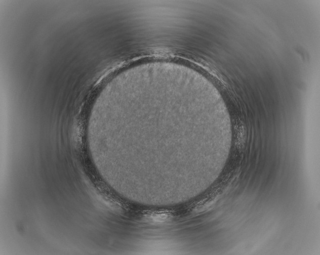 X0000110720643200907241208