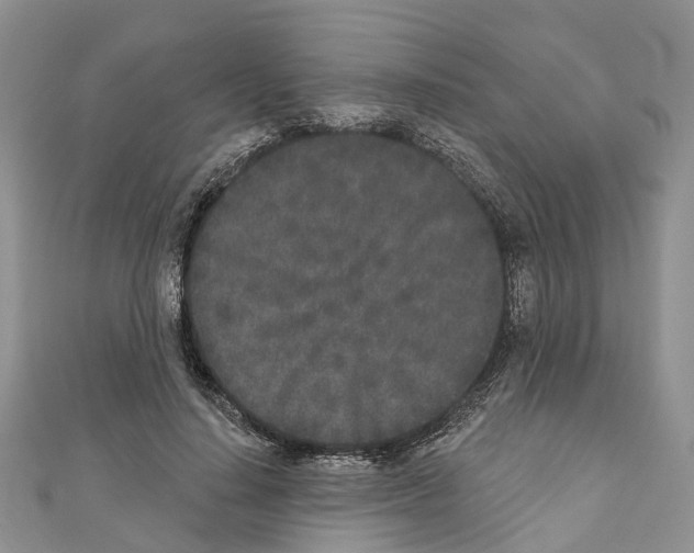 X0000110720644200907241208