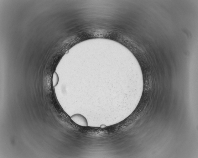 X0000110720646200907241208