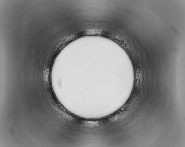 X0000110720649200907241208