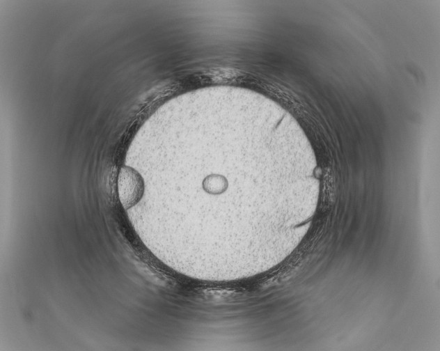 X0000110720650200907241208