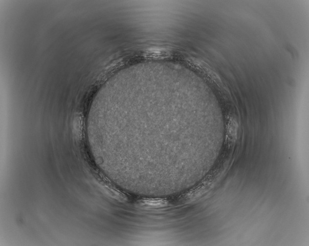 X0000110720659200907241208