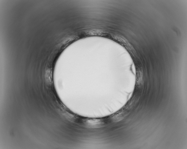 X0000110720669200907241208