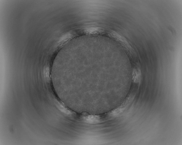 X0000110720670200907241208