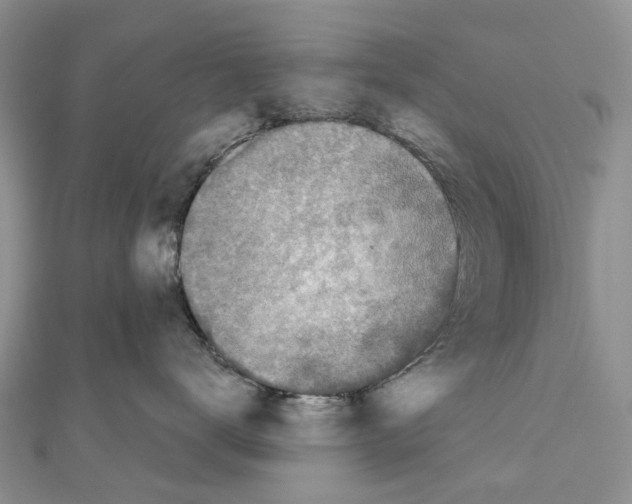 X0000110720672200907241208