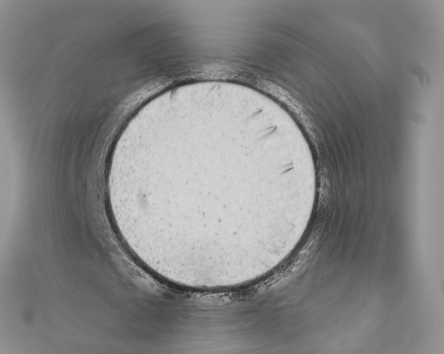 X0000110720673200907241207