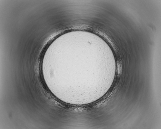 X0000110720675200907241207