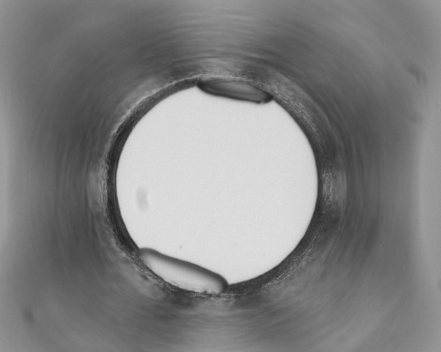 X0000110720676200907241207