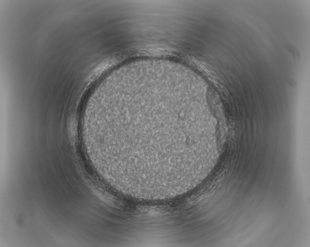 X0000110720679200907241207