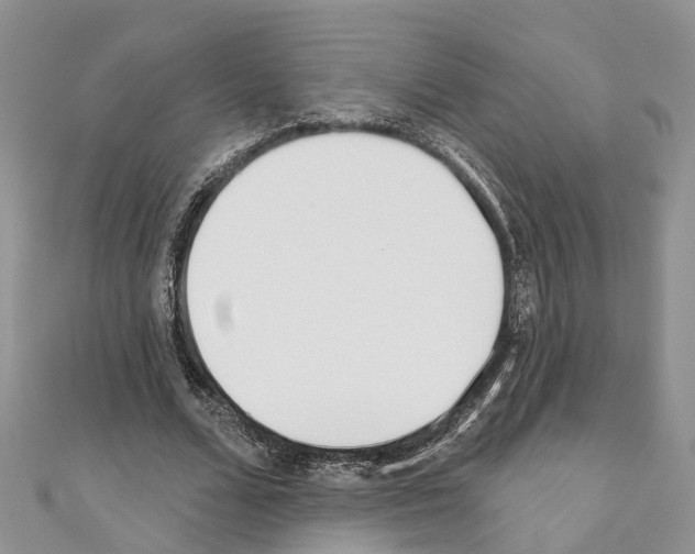 X0000110720680200907241207