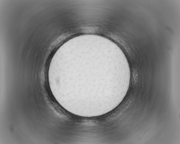 X0000110720682200907241207