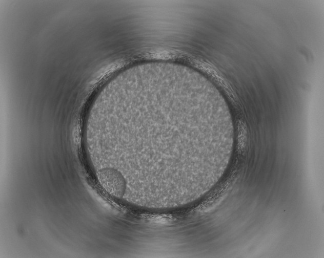 X0000110720683200907241207