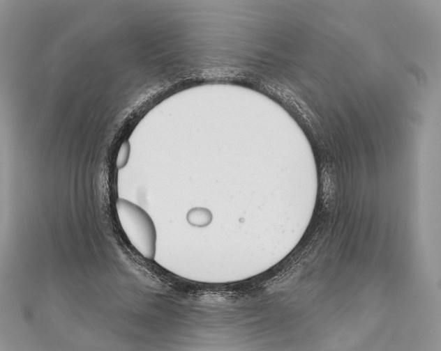 X0000110720684200907241207