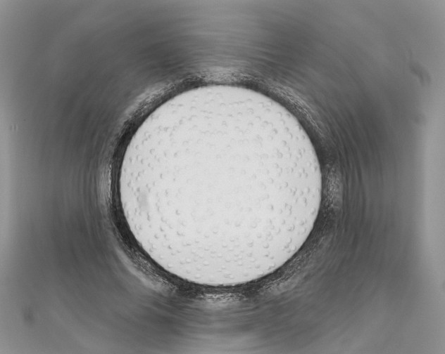 X0000110720686200907241207