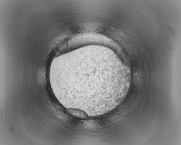 X0000110720688200907241207