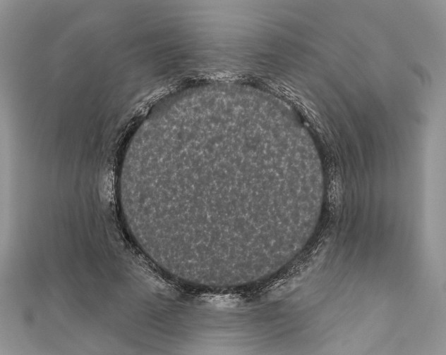 X0000110720689200907241207