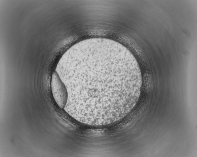 X0000110720692200907241207