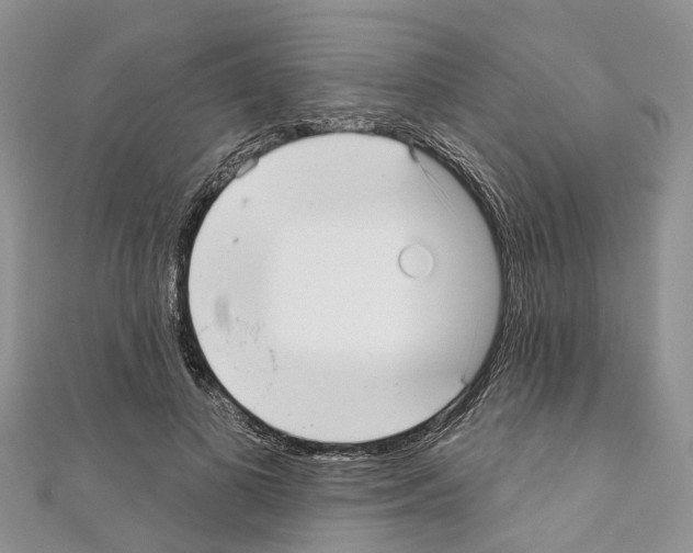 X0000110720693200907241207