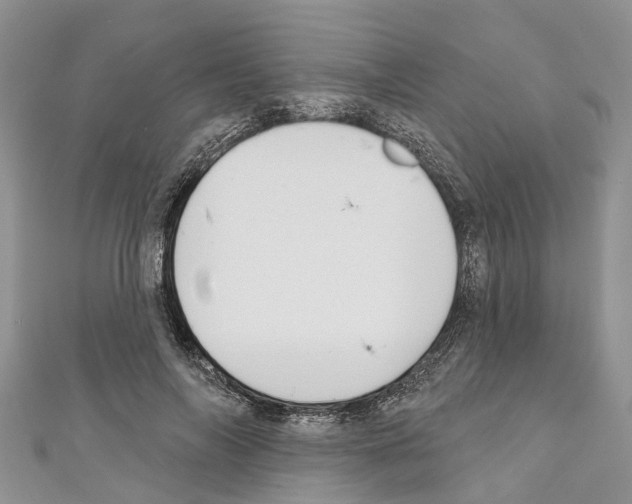 X0000110720694200907241207