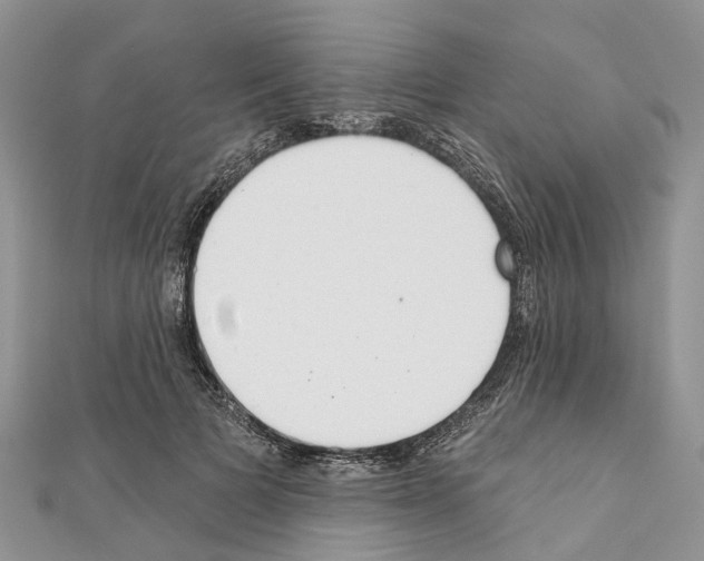 X0000110720697200907241207