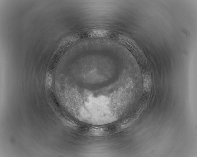 X0000110720701200907241207