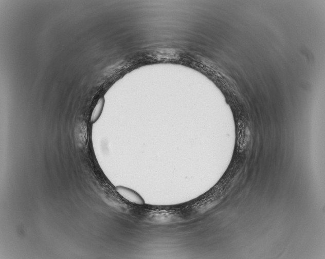 X0000110720704200907241207