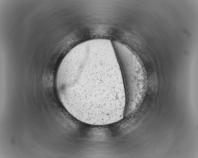 X0000110720708200907241207