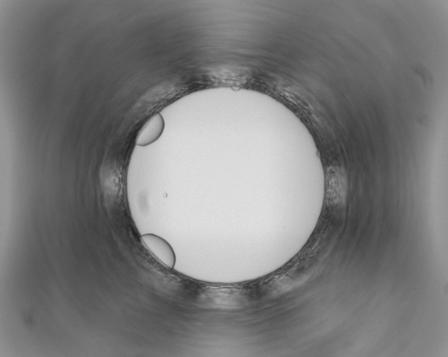 X0000110720713200907241207