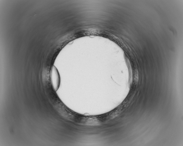 X0000110720715200907241207