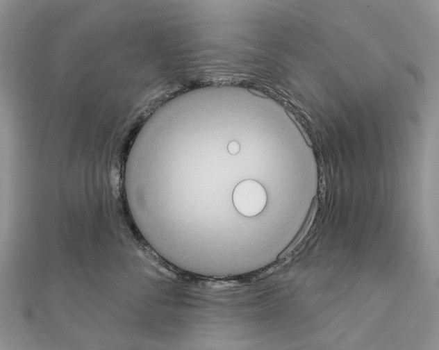 X0000110720716200907241207