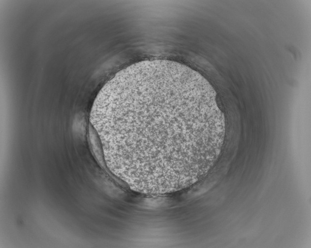 X0000110720720200907241207