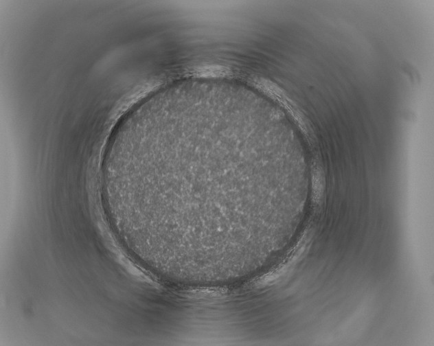 X0000110720721200907241206