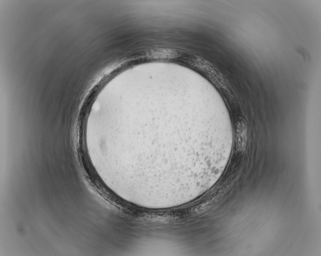 X0000110720726200907241206