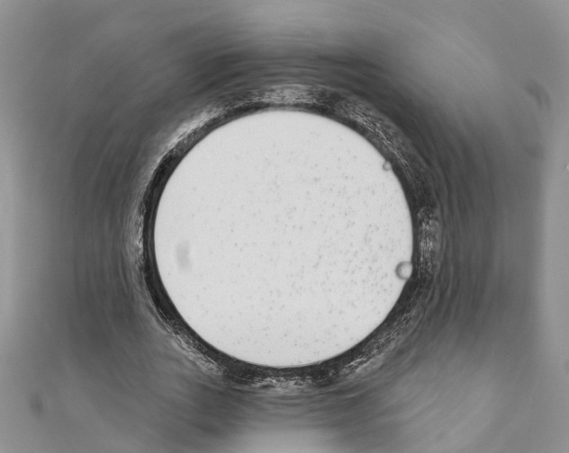 X0000110720727200907241206