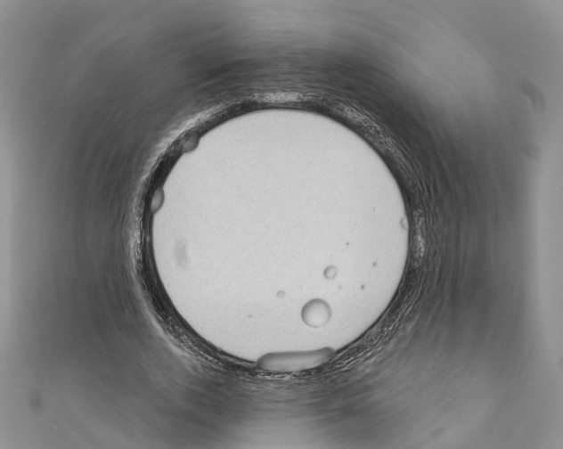 X0000110720728200907241206