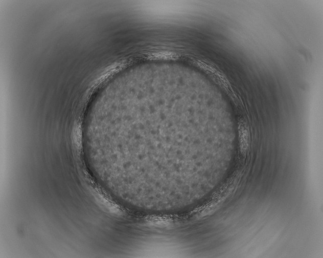 X0000110720729200907241206