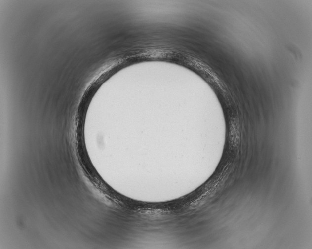 X0000110720730200907241206