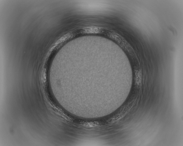 X0000110720731200907241206