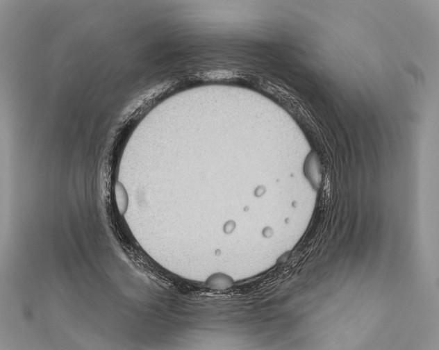 X0000110720732200907241206