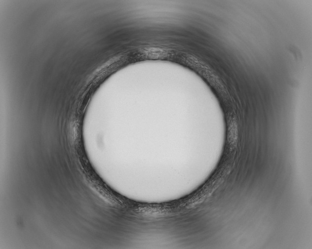 X0000110720733200907241206