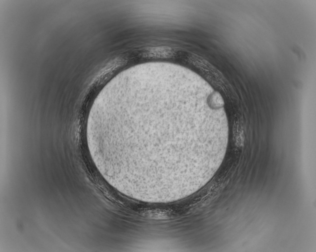 X0000110720735200907241206