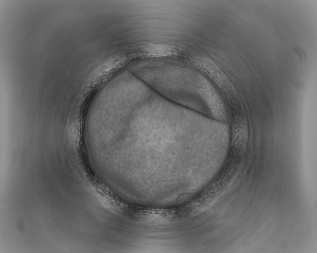 X0000110720736200907241206