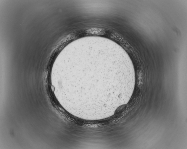 X0000110720738200907241206