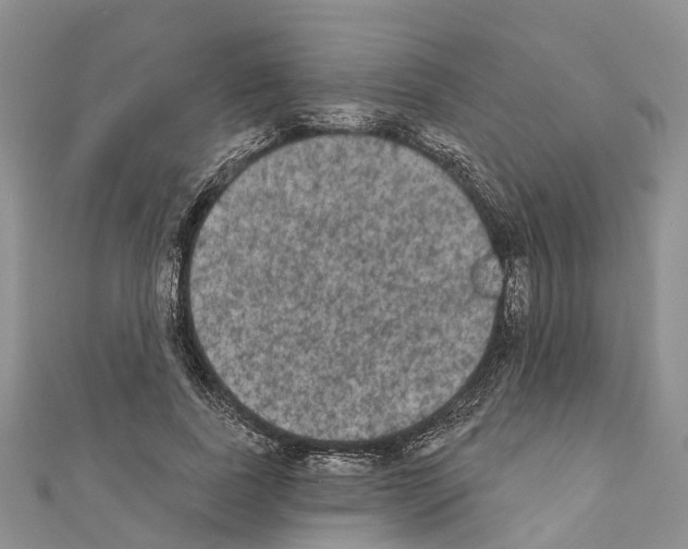 X0000110720739200907241206