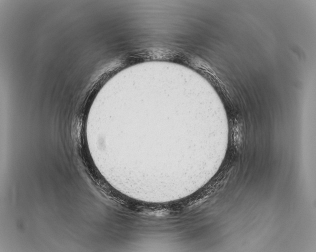 X0000110720742200907241206