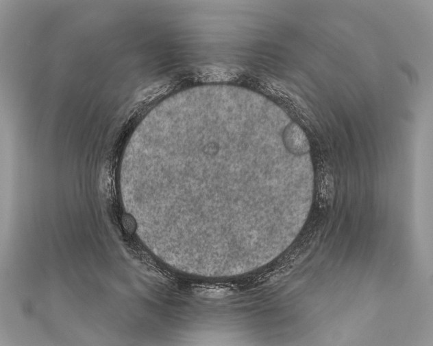 X0000110720743200907241206