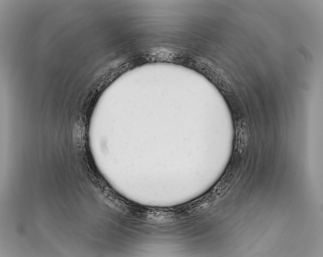 X0000110720745200907241206