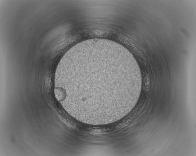 X0000110720746200907241206