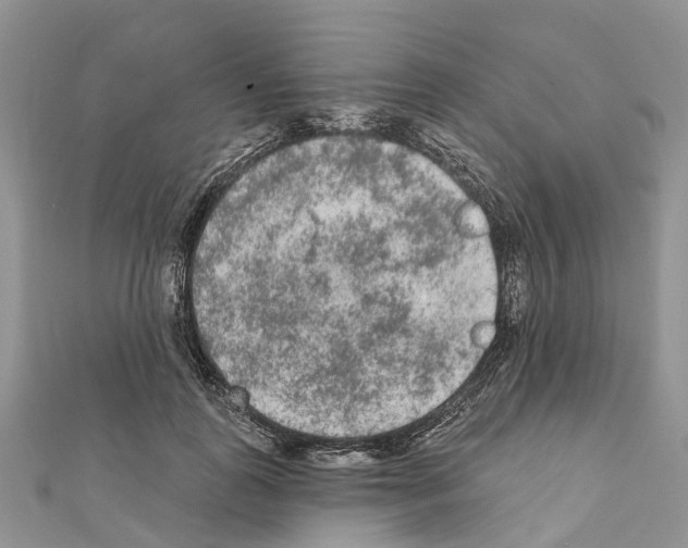 X0000110720747200907241206